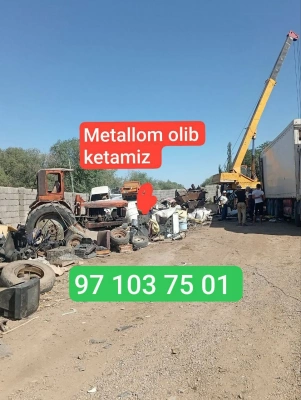 Metallom