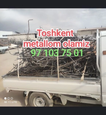 Metallom olamiz